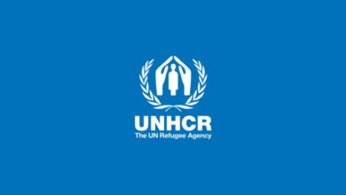 UNHCR Is Hiring Multiple Home-Based Assistant Jobs For 2026 – Apply Now!