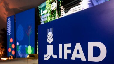 IFAD Is Hiring Multiple Home-Based Jobs For 2026 – Apply Now!