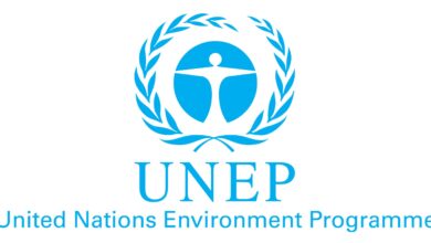 UNEP Is Hiring Multiple Consultant Jobs For 2026 – Apply Now!