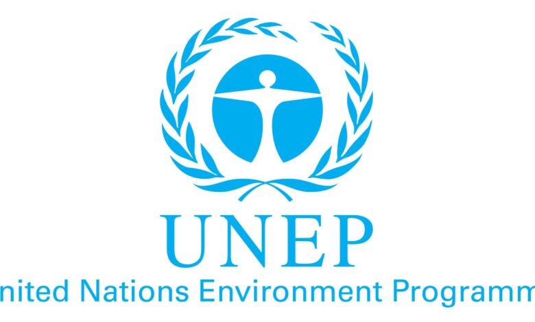 UNEP Is Hiring Multiple Consultant Jobs For 2026 – Apply Now!