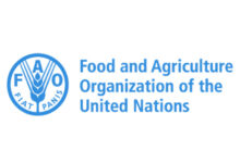 FAO Is Hiring Multiple Home-Based Non-Staff Opportunities For 2026 – Apply Now!
