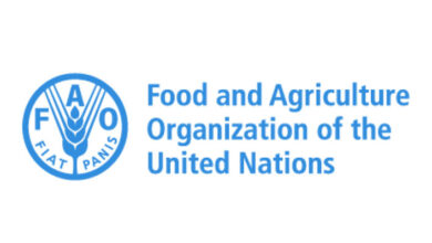 FAO Is Hiring Multiple Home-Based Non-Staff Opportunities For 2026 – Apply Now!