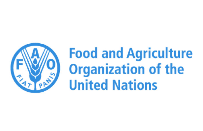 FAO Is Hiring Multiple Home-Based Non-Staff Opportunities For 2026 – Apply Now!