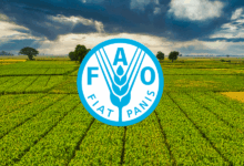 FAO Is Hiring Multiple Data Entry Non-Staff Opportunities For 2026 – Apply Now!