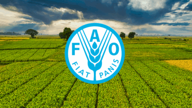 FAO Is Hiring Multiple Data Entry Non-Staff Opportunities For 2026 – Apply Now!