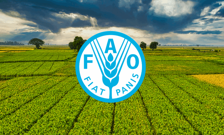 FAO Is Hiring Multiple Data Entry Non-Staff Opportunities For 2026 – Apply Now!