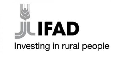 IFAD Is Hiring Paid Internship With Housing And Travel Allowance For 2026 – Apply Now!