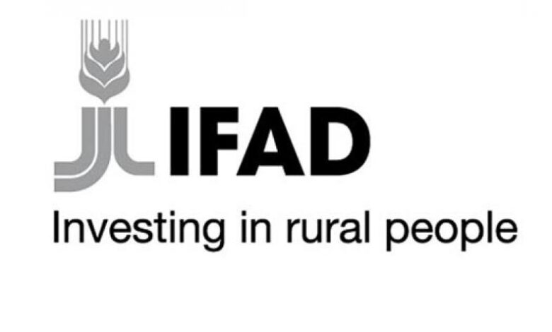 IFAD Is Hiring Paid Internship With Housing And Travel Allowance For 2026 – Apply Now!