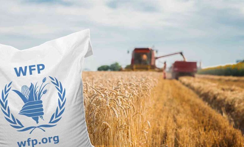 WFP Is Hiring Multiple Home-Based Consultant Jobs For 2026 – Apply Now!