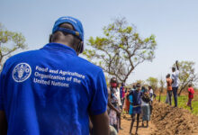 FAO Is Hiring Multiple Home-Based Administration Assistant Jobs For 2026 – Apply Now!