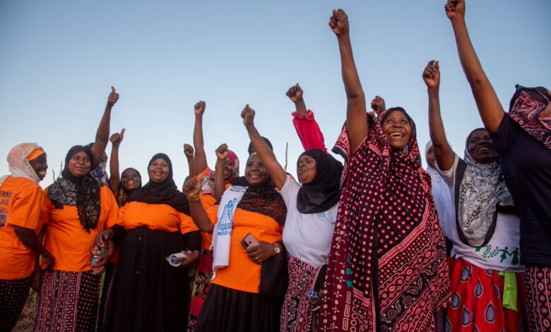 UN Women Is Hiring Multiple Global Home-Based Jobs For 2026 – Apply Now!