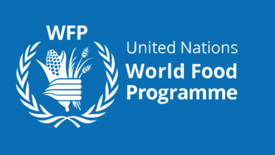 WFP Is Hiring Multiple Home-Based Consultant Jobs for 2026 – Apply Now!